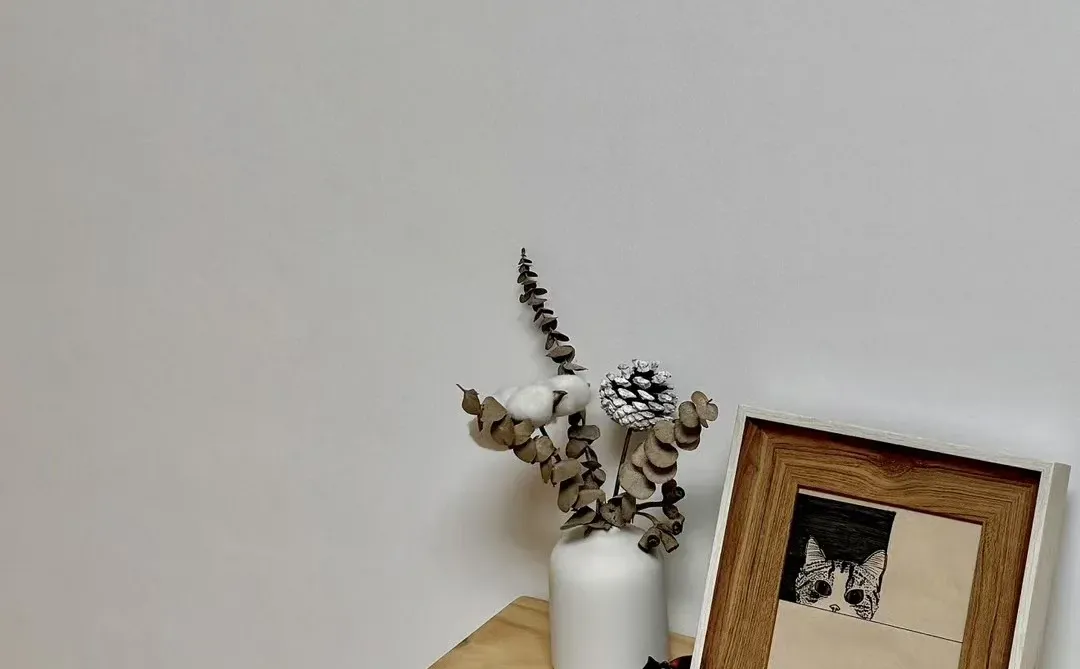 听播客,嘉宾是一位00后女生