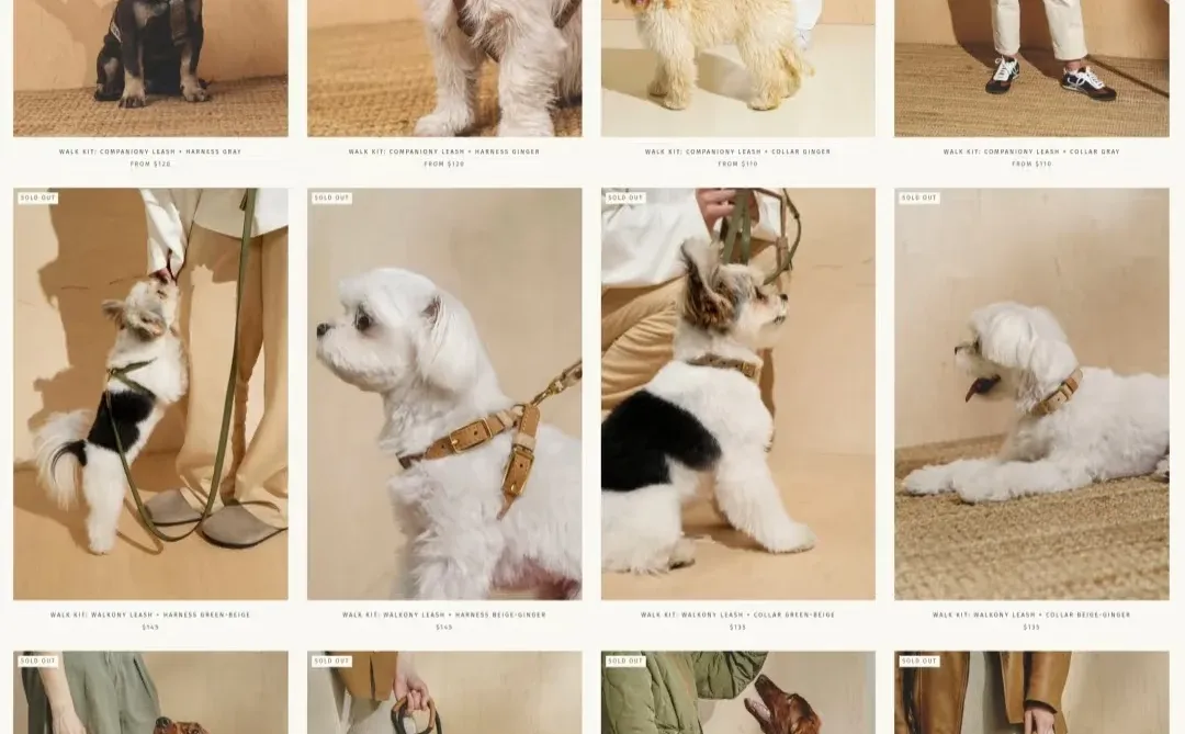 女生合伙搞钱！宠物独立站超高销量实操攻略