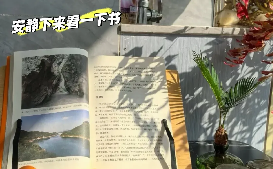 95后转行金融|我的一天都在忙啥?