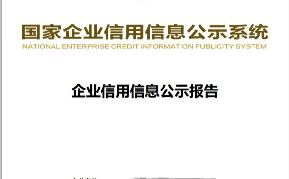 实习用|企业信用信息公示报告|可代查