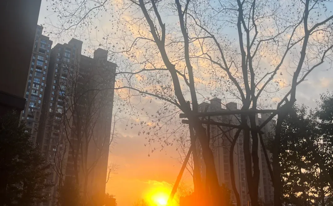 未来趋势:以后没人上班了