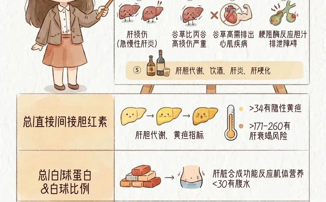 救命‼️肝功能报告怎么看？?还好有阿福！