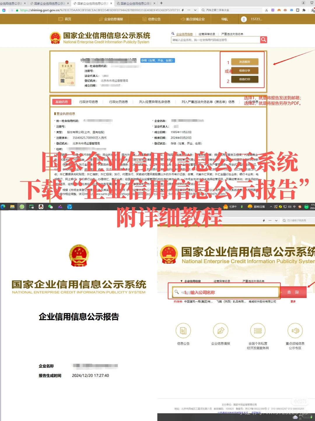 实习用|企业信用信息公示报告|可代查