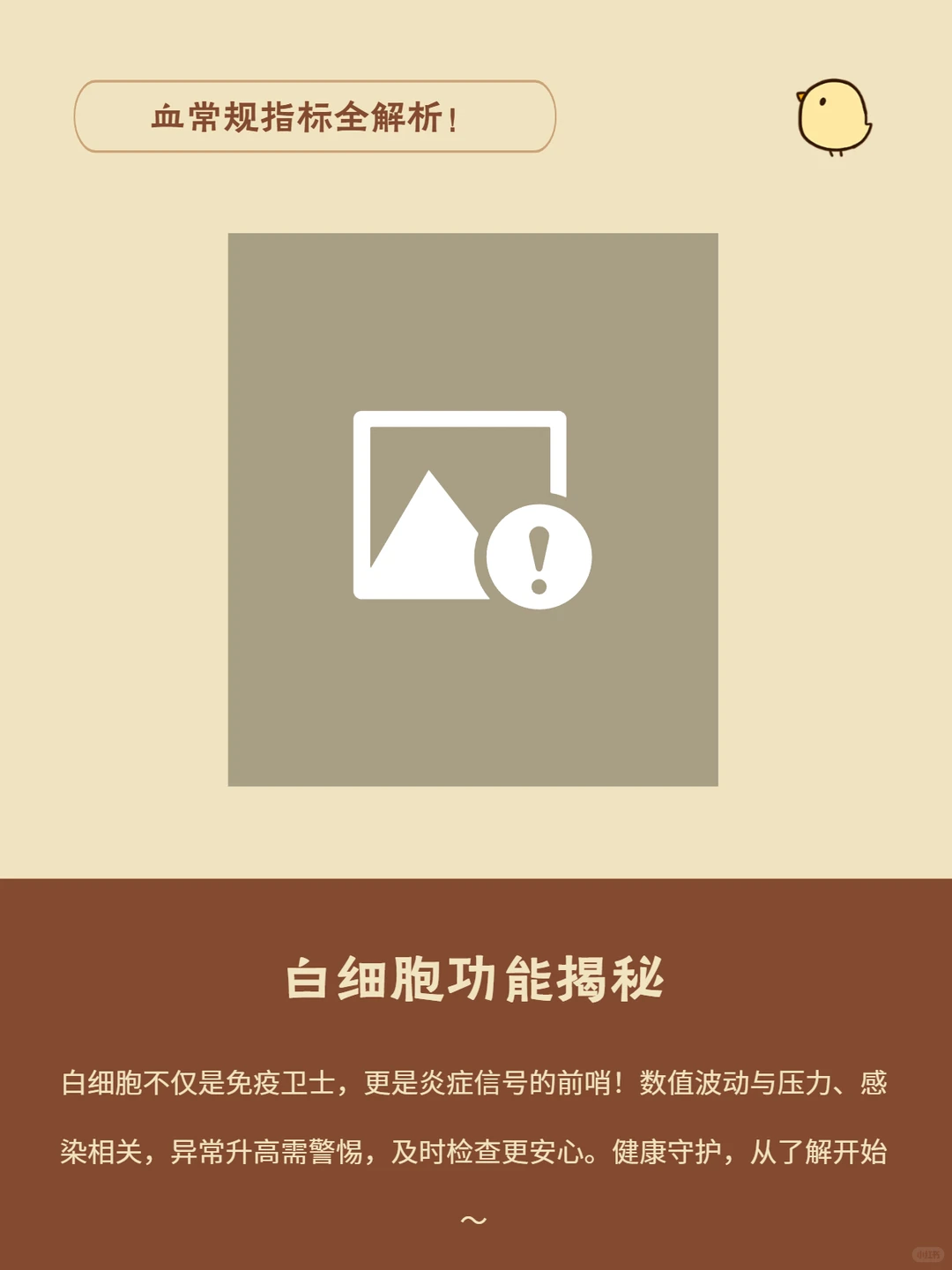 ?血常规报告关键指标解读