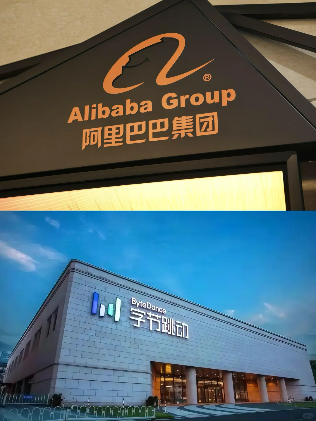 坐标上海|这些企业可以预约参观啦