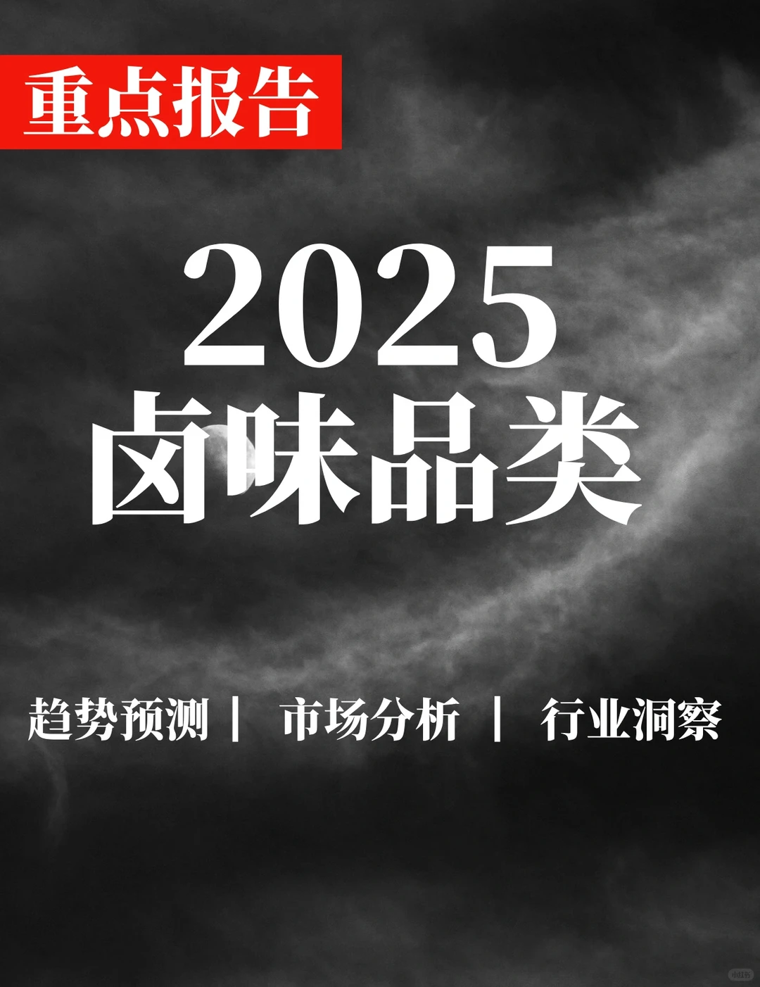 重点报告|2025卤味品类发展报告