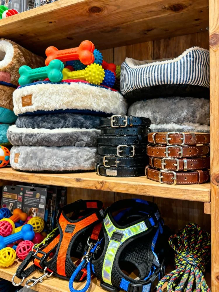 你只负责上架,我负责供货,宠物工厂求合作