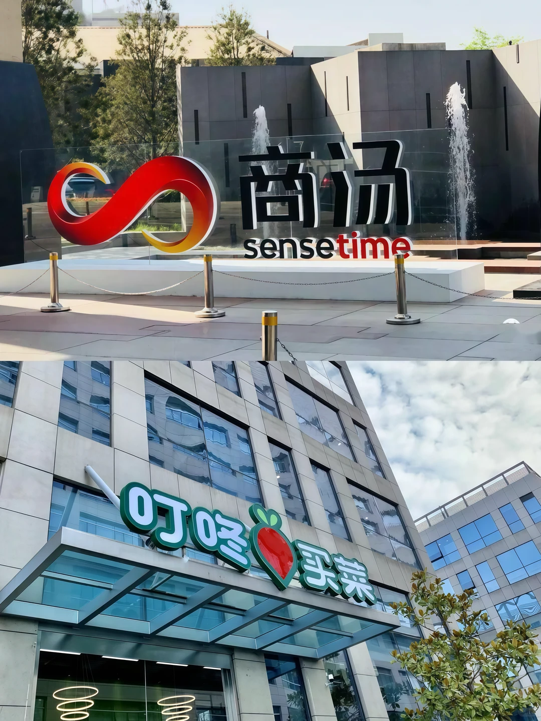 坐标上海|这些企业可以预约参观啦