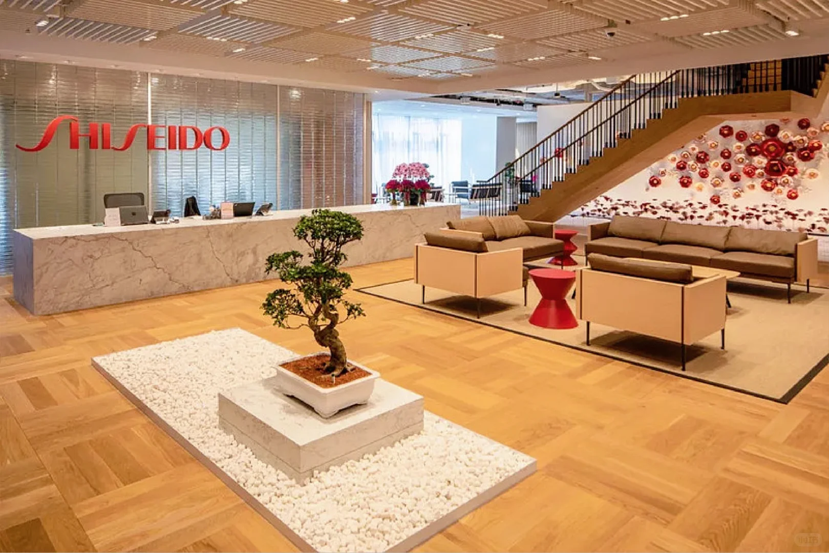 知名美妆外企(资生堂)现对留学生需求量大