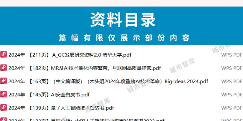 2024中国人工智能行业大揭秘?