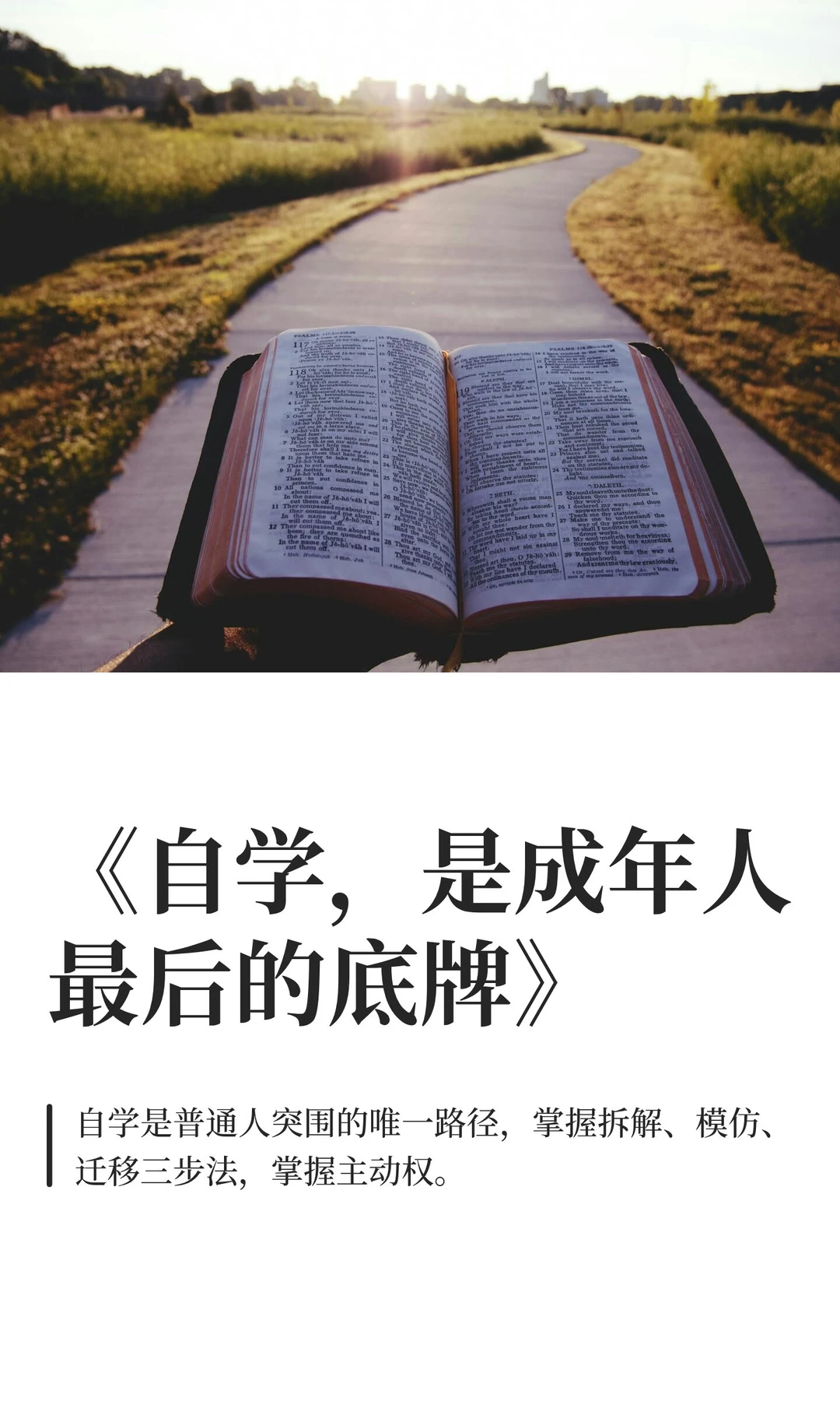 《自学,是成年人最后的底牌》