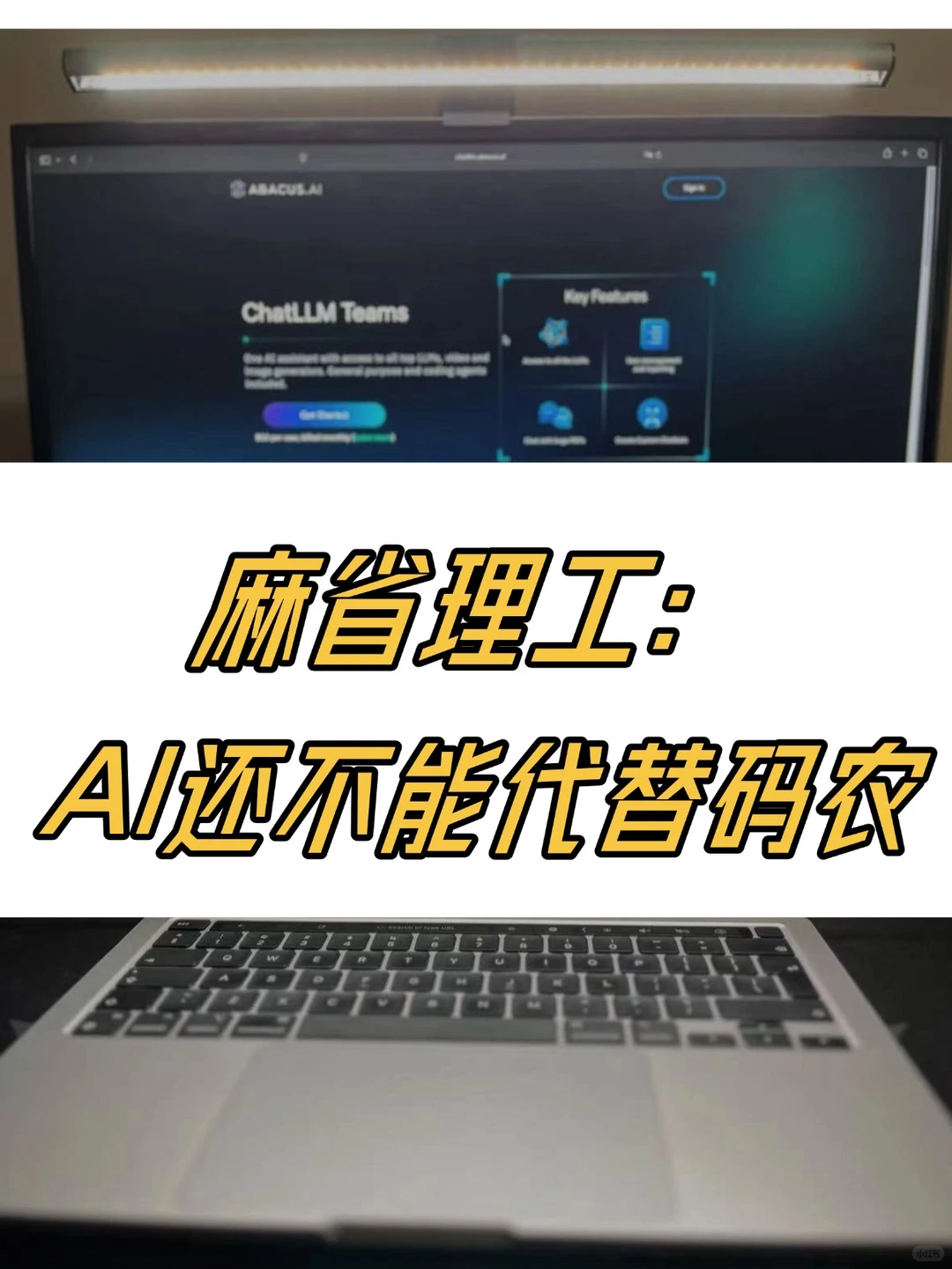 权威机构调研:先被AI替代的不是程序员!