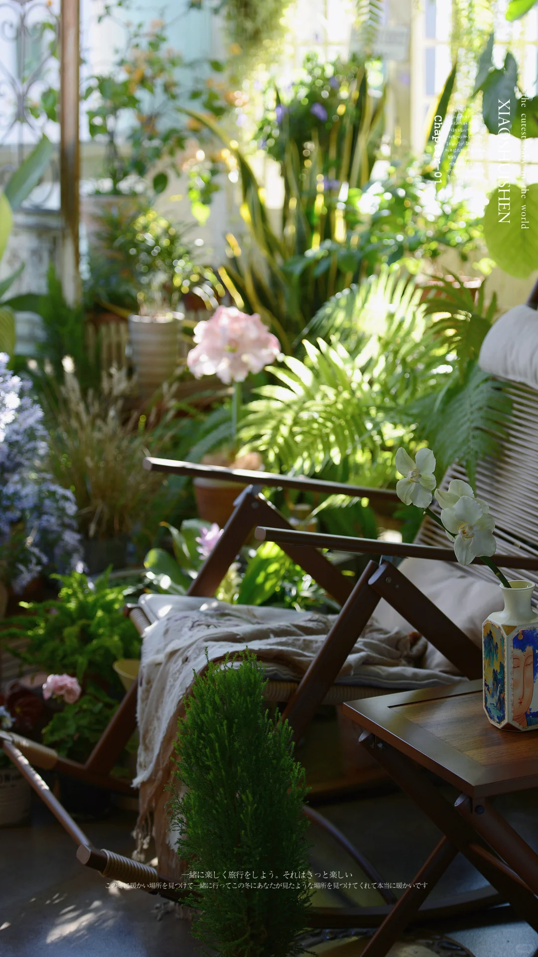 阳台造梦记~城市里的阳台绿意小确幸???