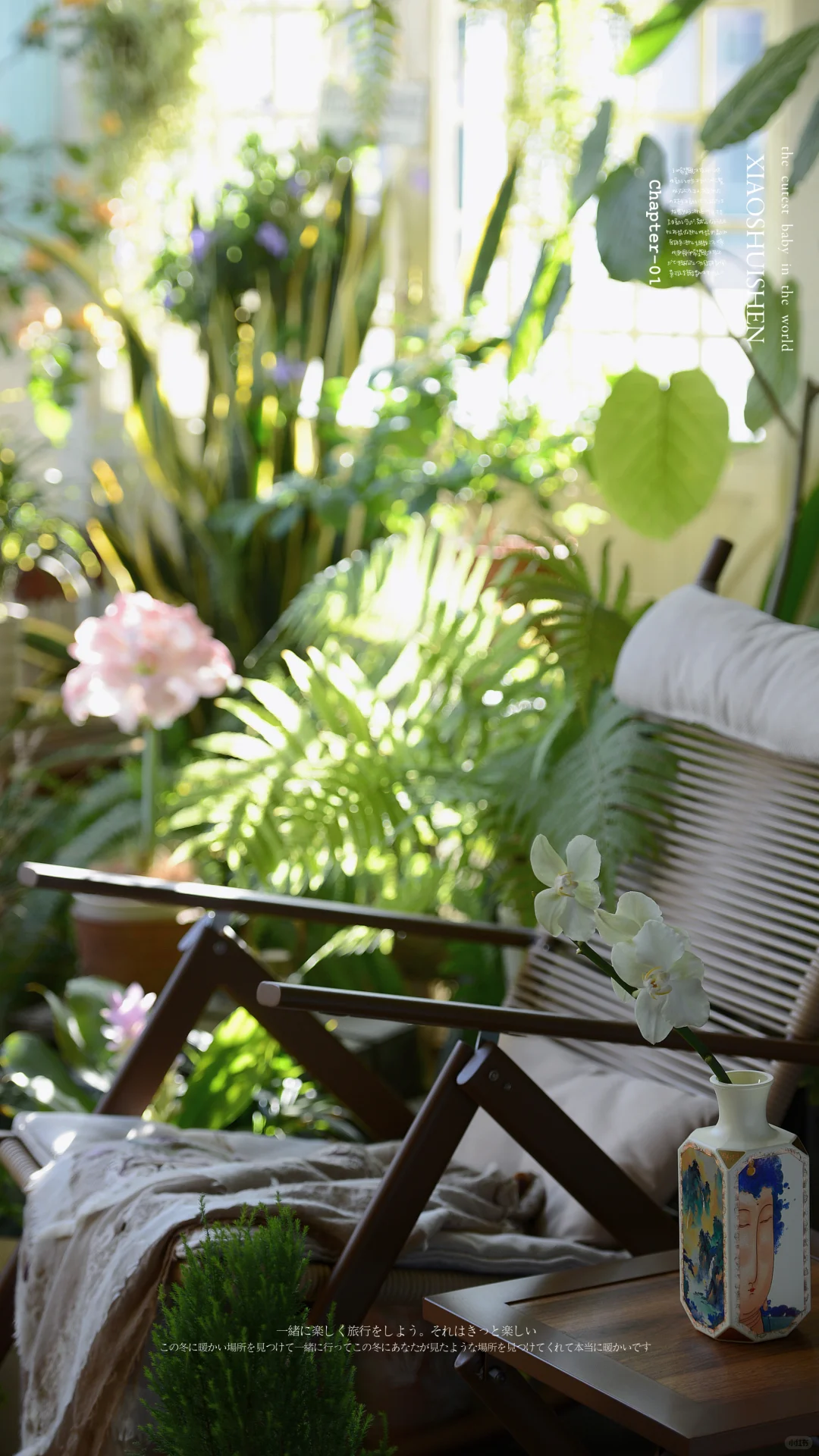 阳台造梦记~城市里的阳台绿意小确幸???