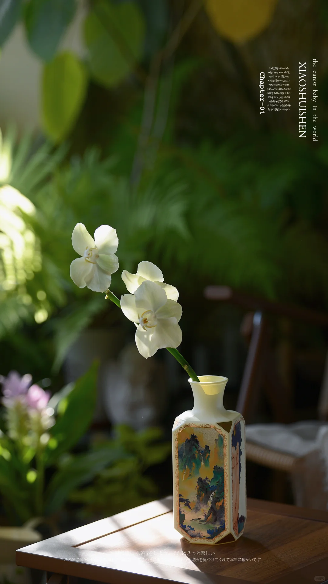 阳台造梦记~城市里的阳台绿意小确幸???