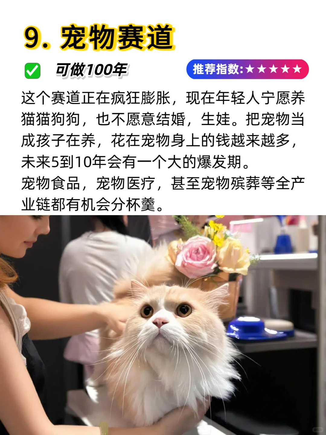 2025年“猪都能飞”的10大风口 ??