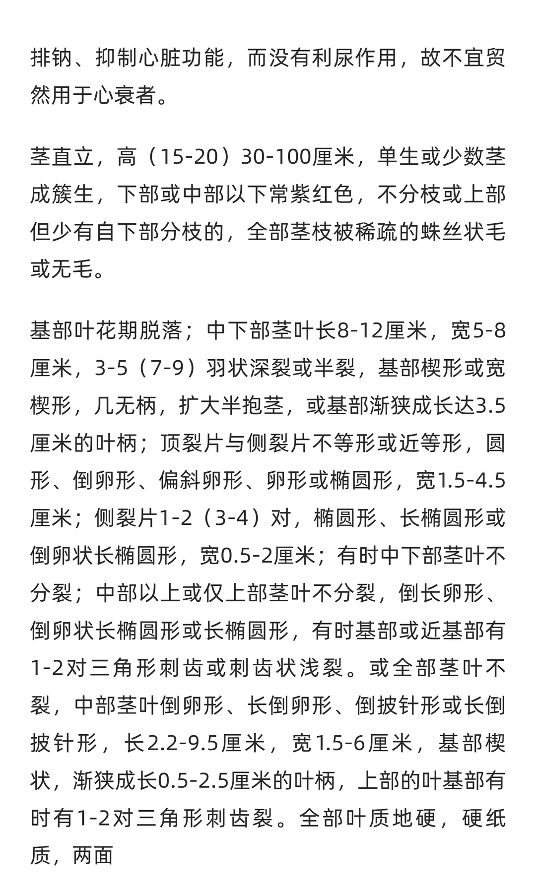 苍术行业市场调研及发展前景分析预测报告