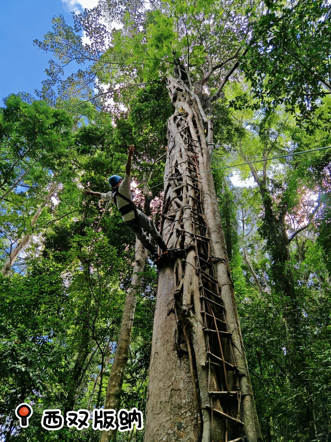 最后1个月啦 2025年的记忆都被它珍藏!