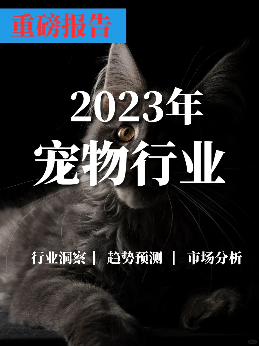 重磅报告|2023年中国宠物行业发展