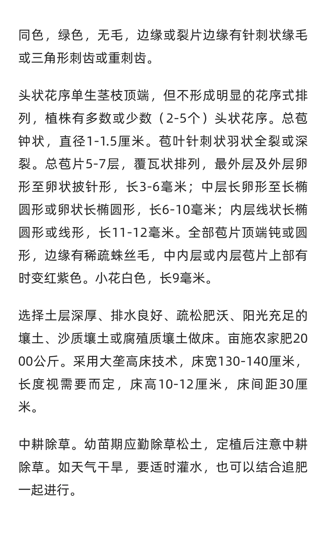 苍术行业市场调研及发展前景分析预测报告