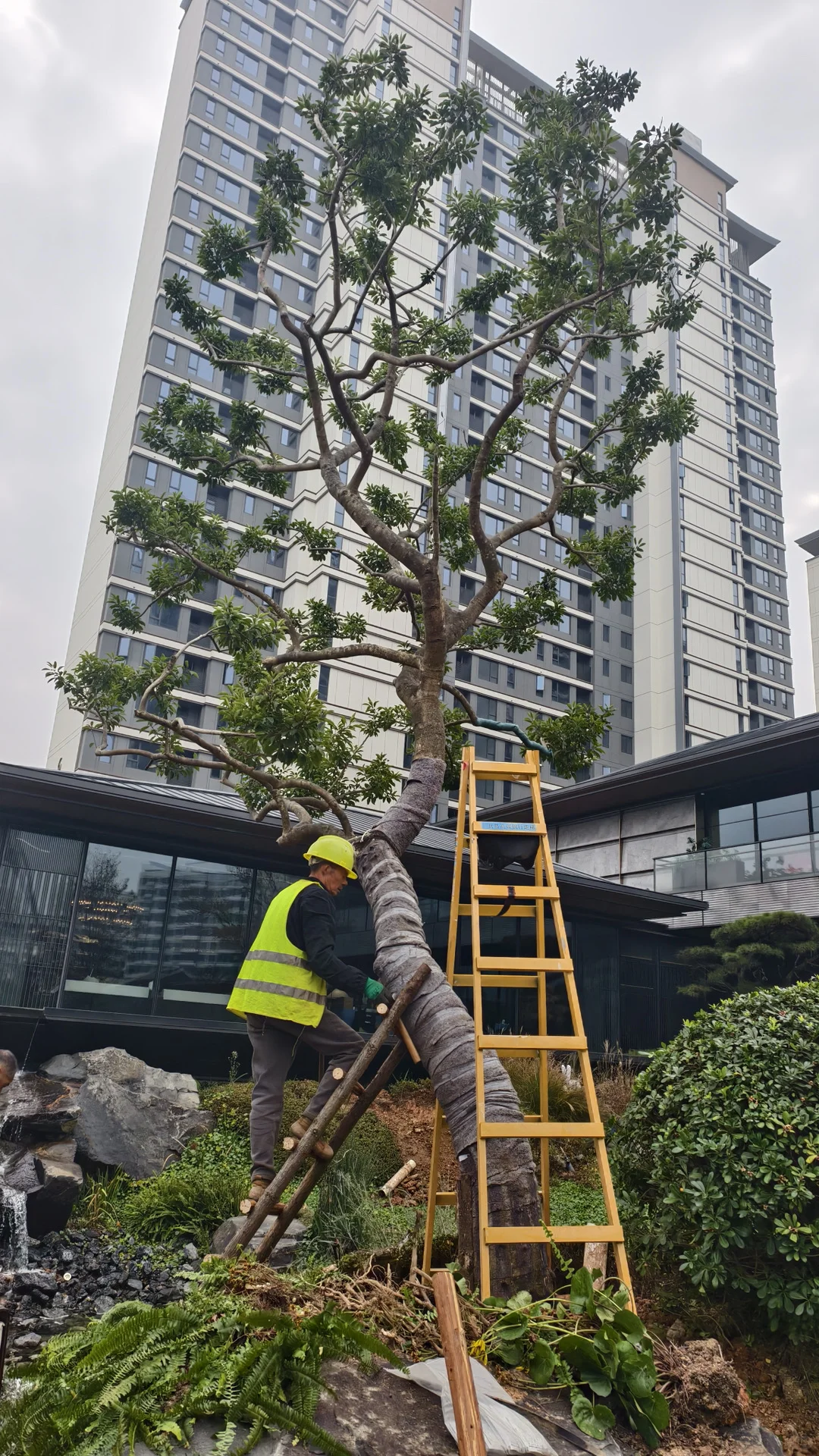 长沙招商天青府实名表扬?