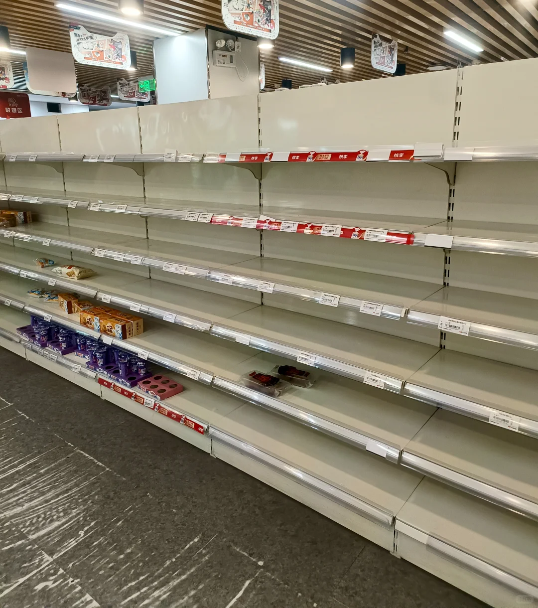 一场酣畅淋漓的大学生市场调研