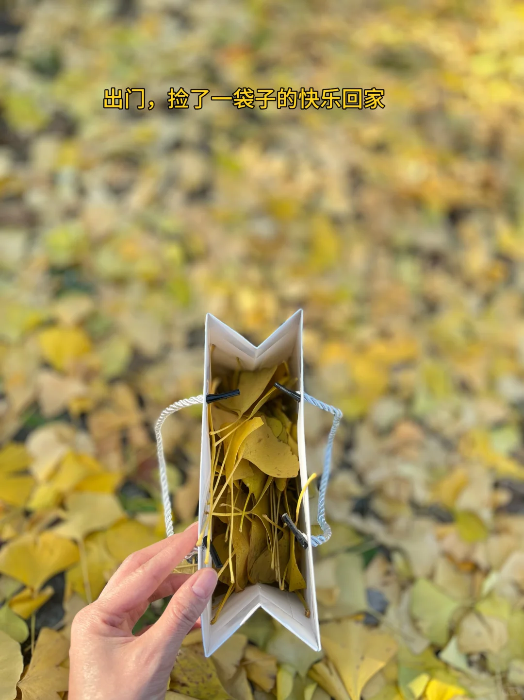 未来趋势:以后没人上班了