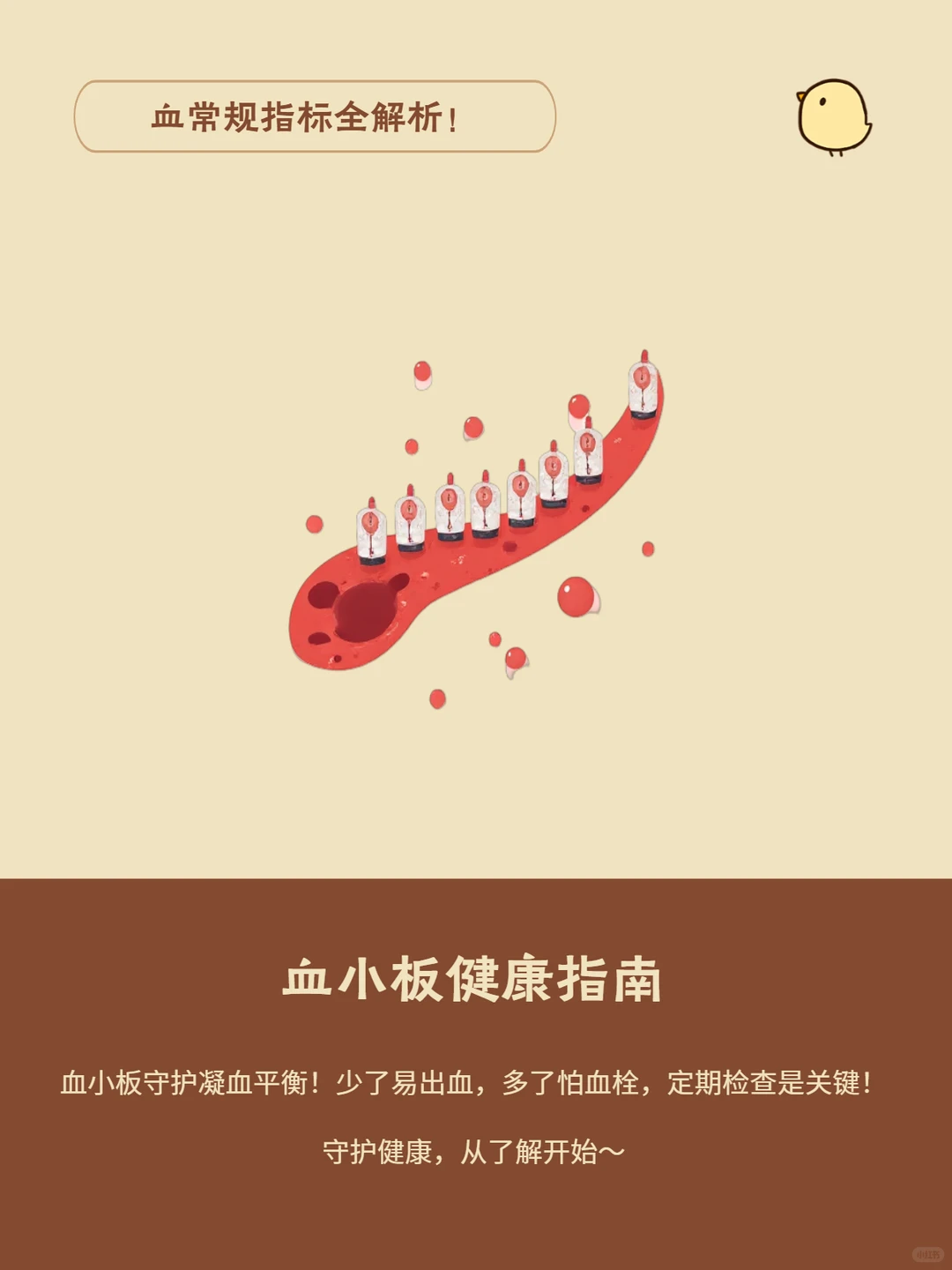 ?血常规报告关键指标解读