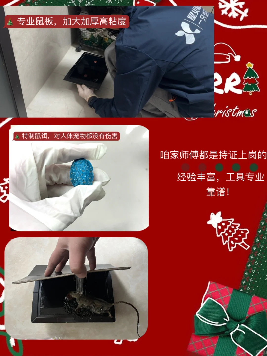 闭眼冲!双旦安心礼!专业除虫只要200+