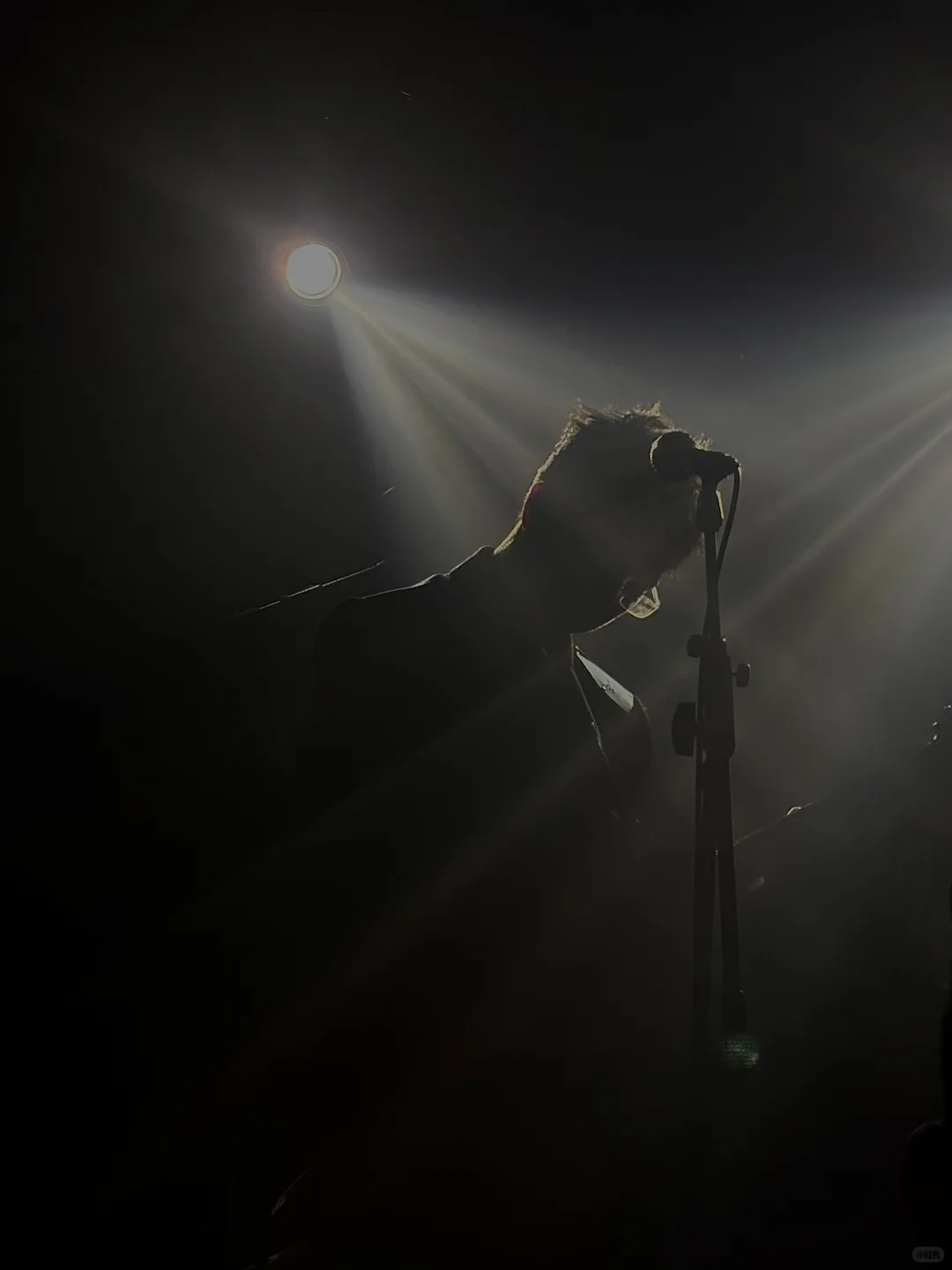 初雪见到白皮书浪漫到极致！