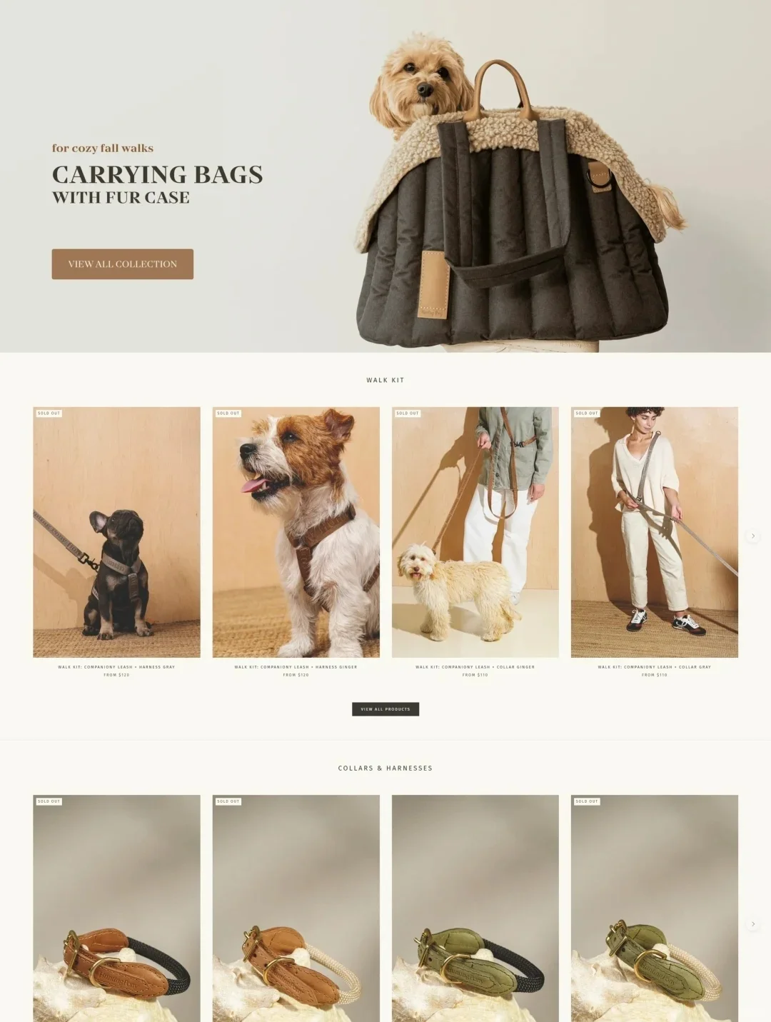 女生合伙搞钱！宠物独立站超高销量实操攻略