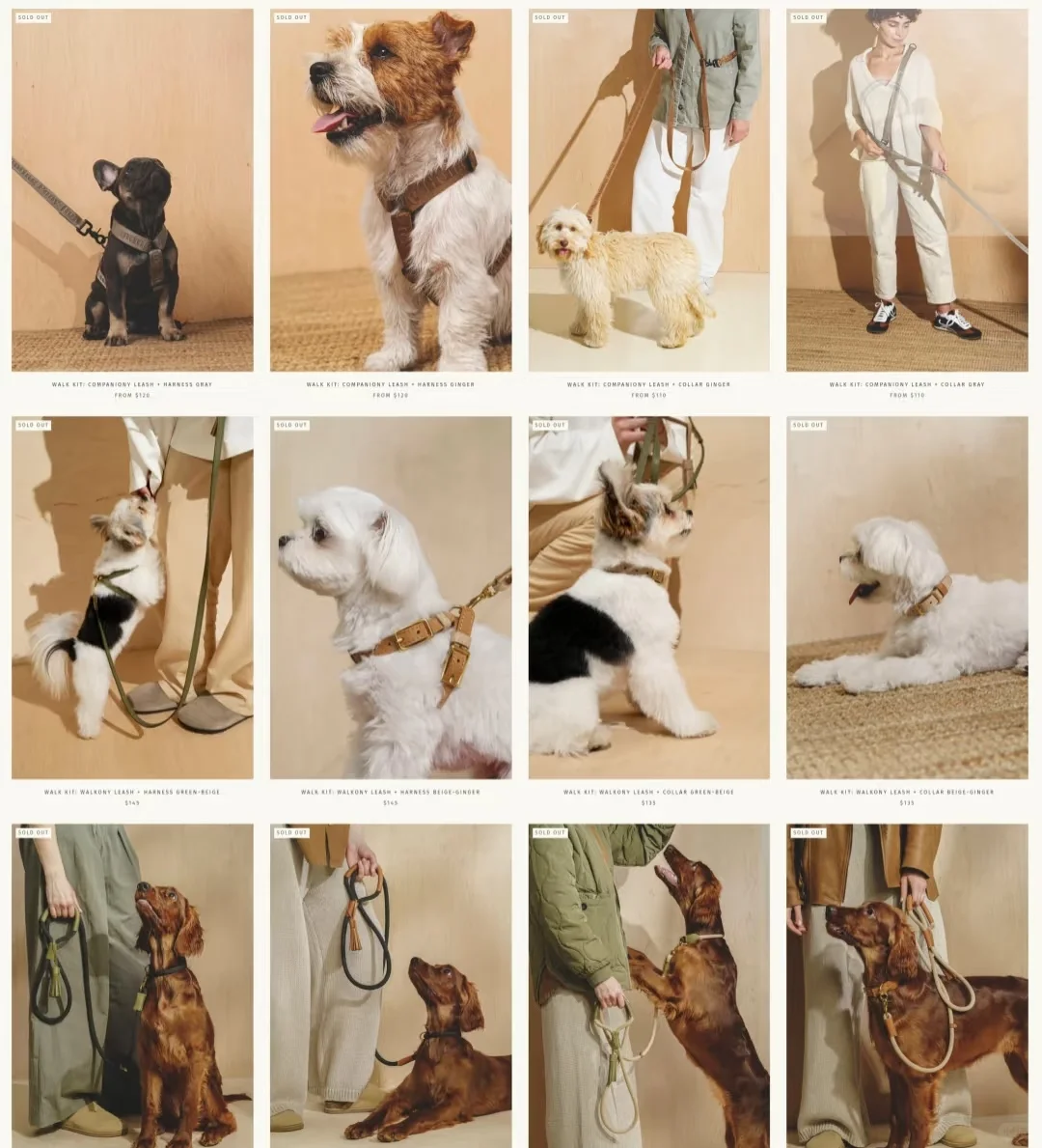 女生合伙搞钱！宠物独立站超高销量实操攻略