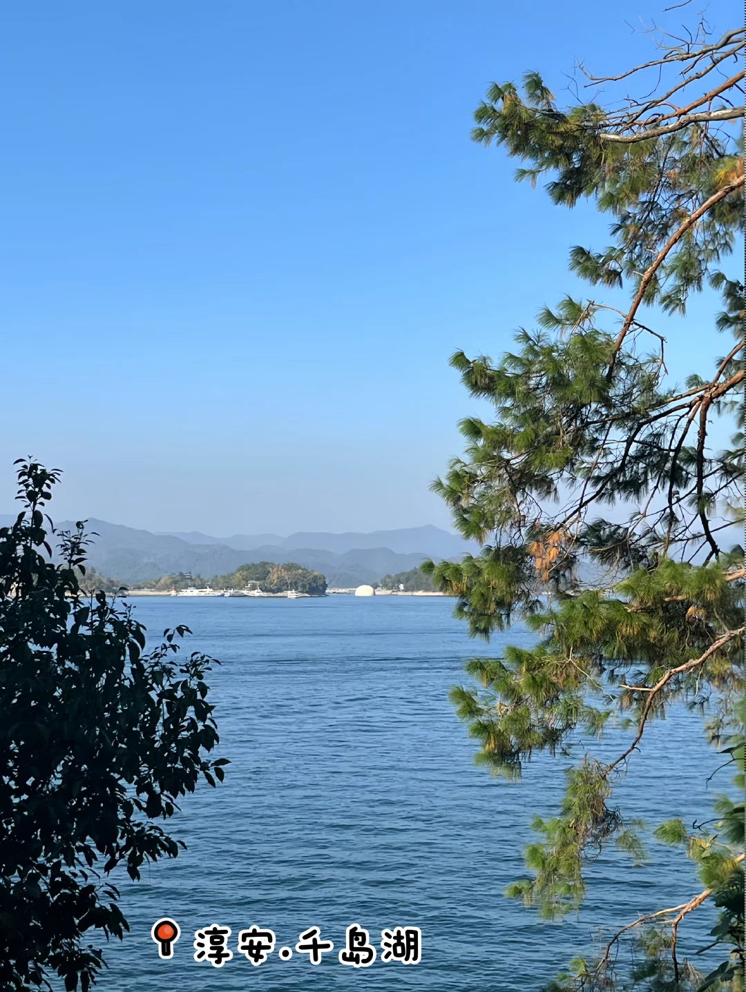 最后1个月啦 2025年的记忆都被它珍藏!