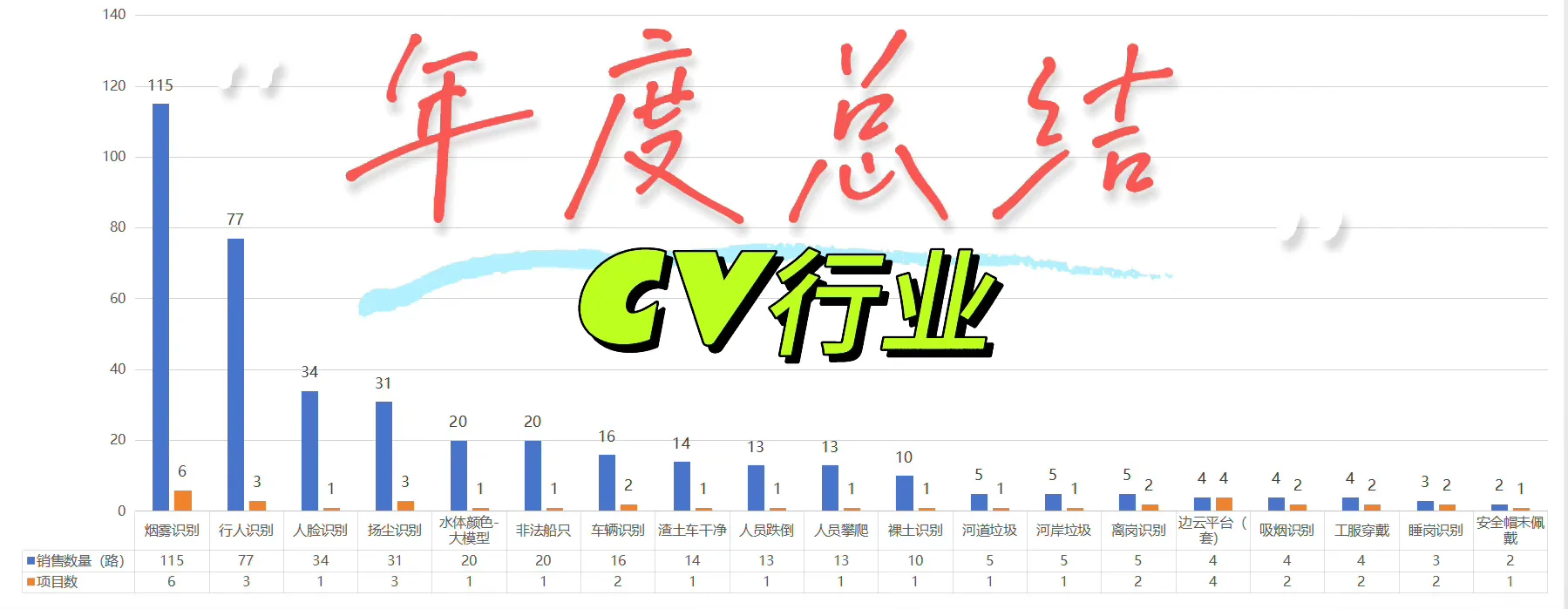 CV行业年度总结
