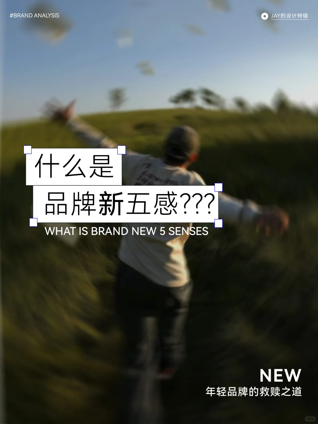 年轻品牌的救赎——品牌新五感