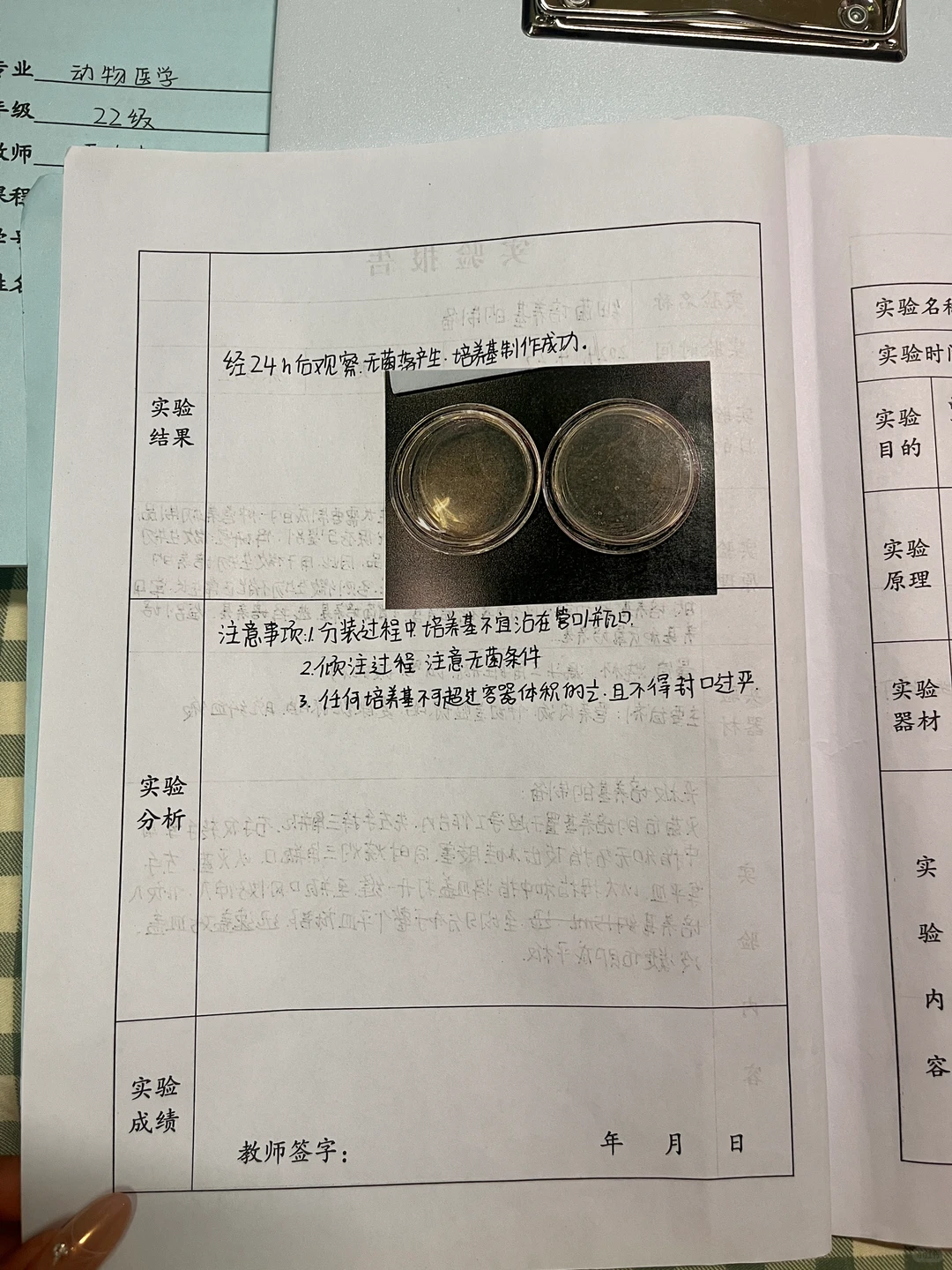 细菌培养基的制备｜兽医微生物实验报告