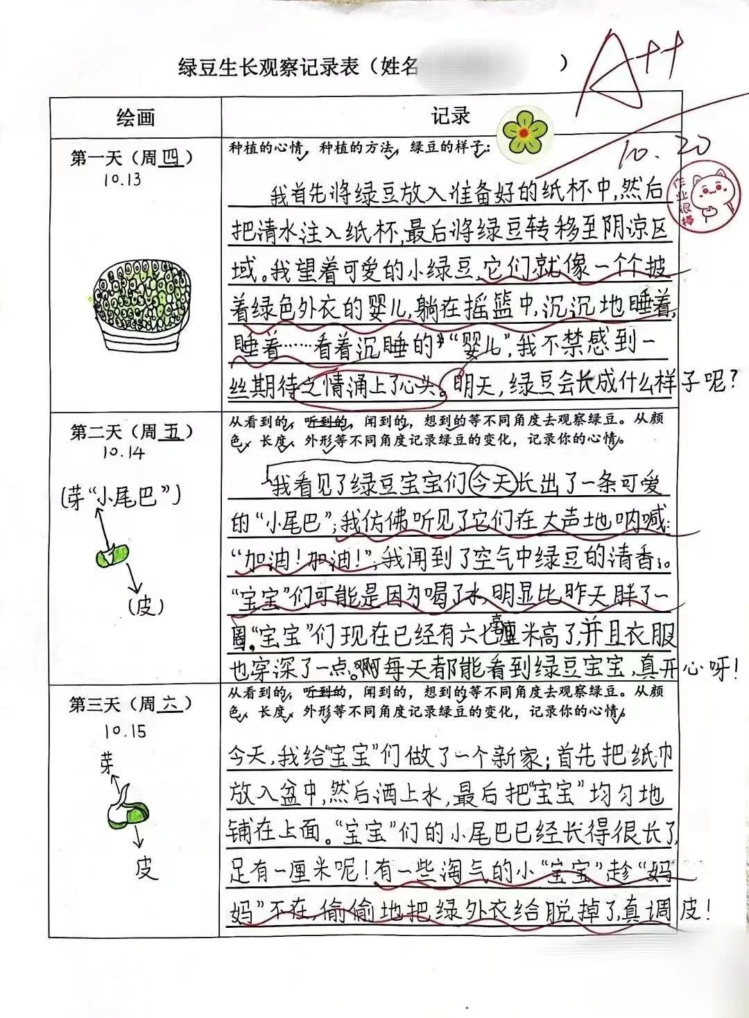 2024绿豆芽观察生长记录表