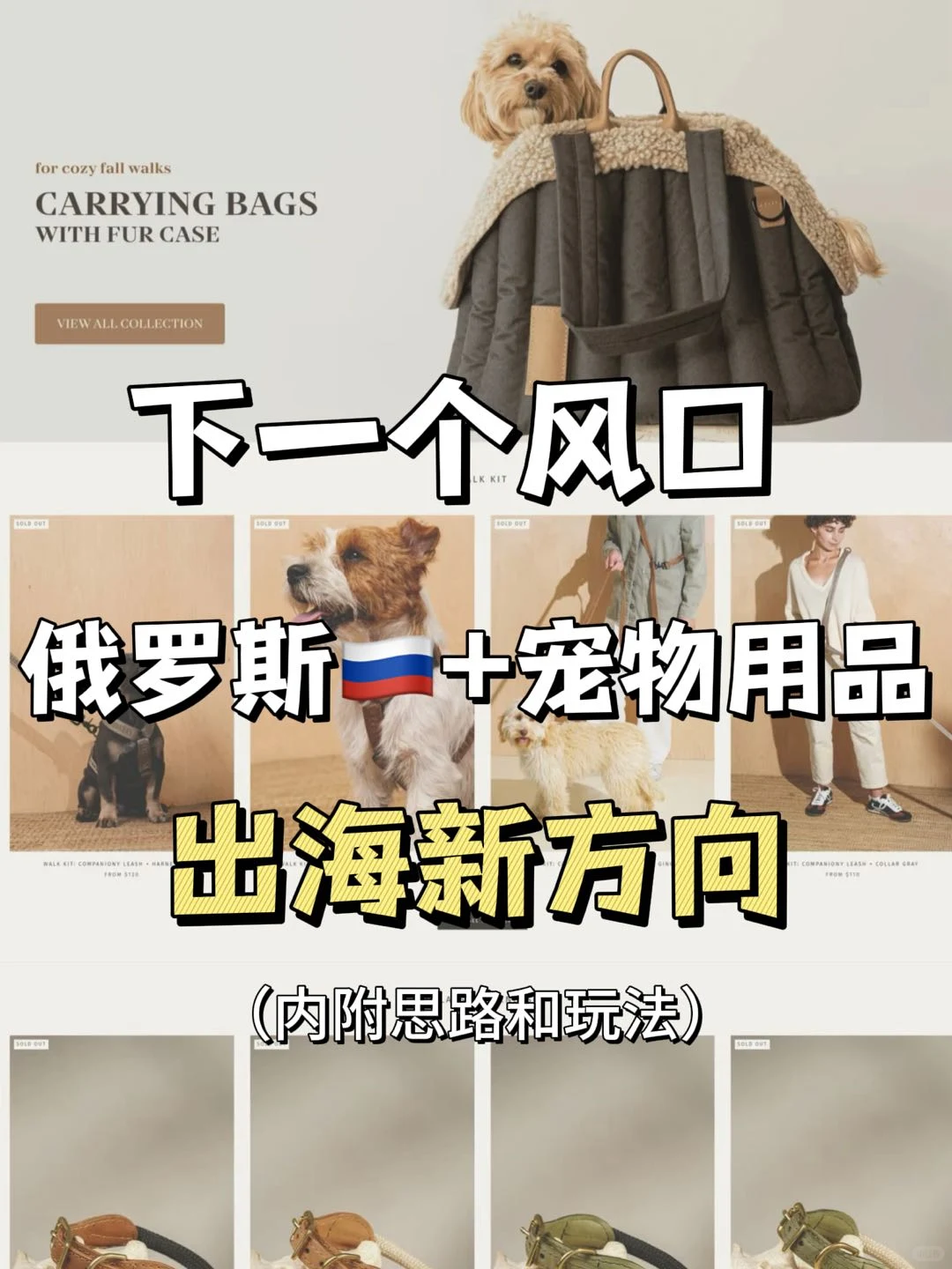 下一个风口就是俄罗斯 + 宠物用品
