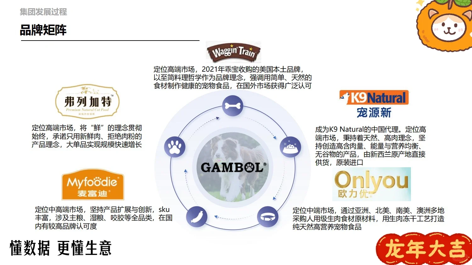 方案拆解｜麦富迪品牌调研分析报告