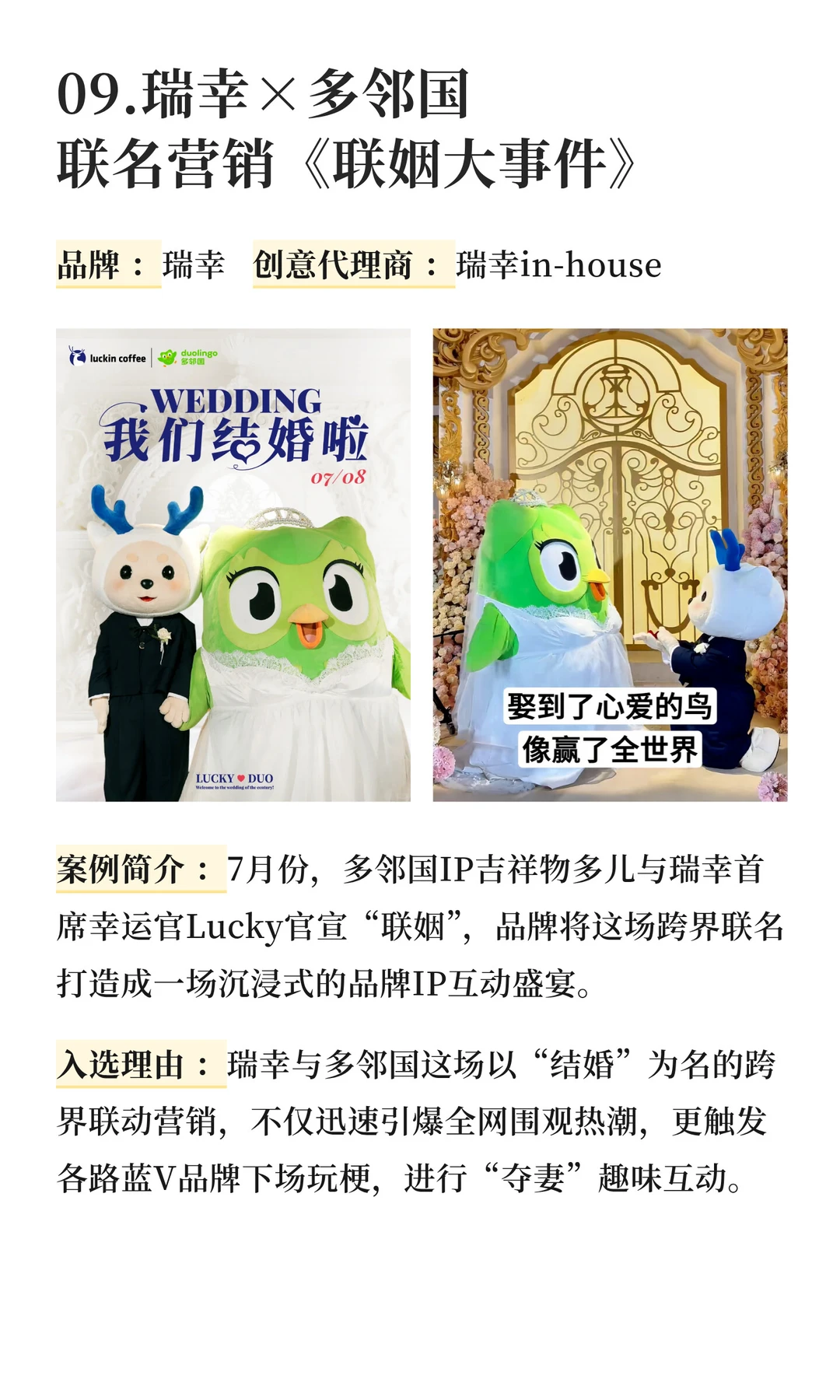 2025年《十大营销案例》入围名单