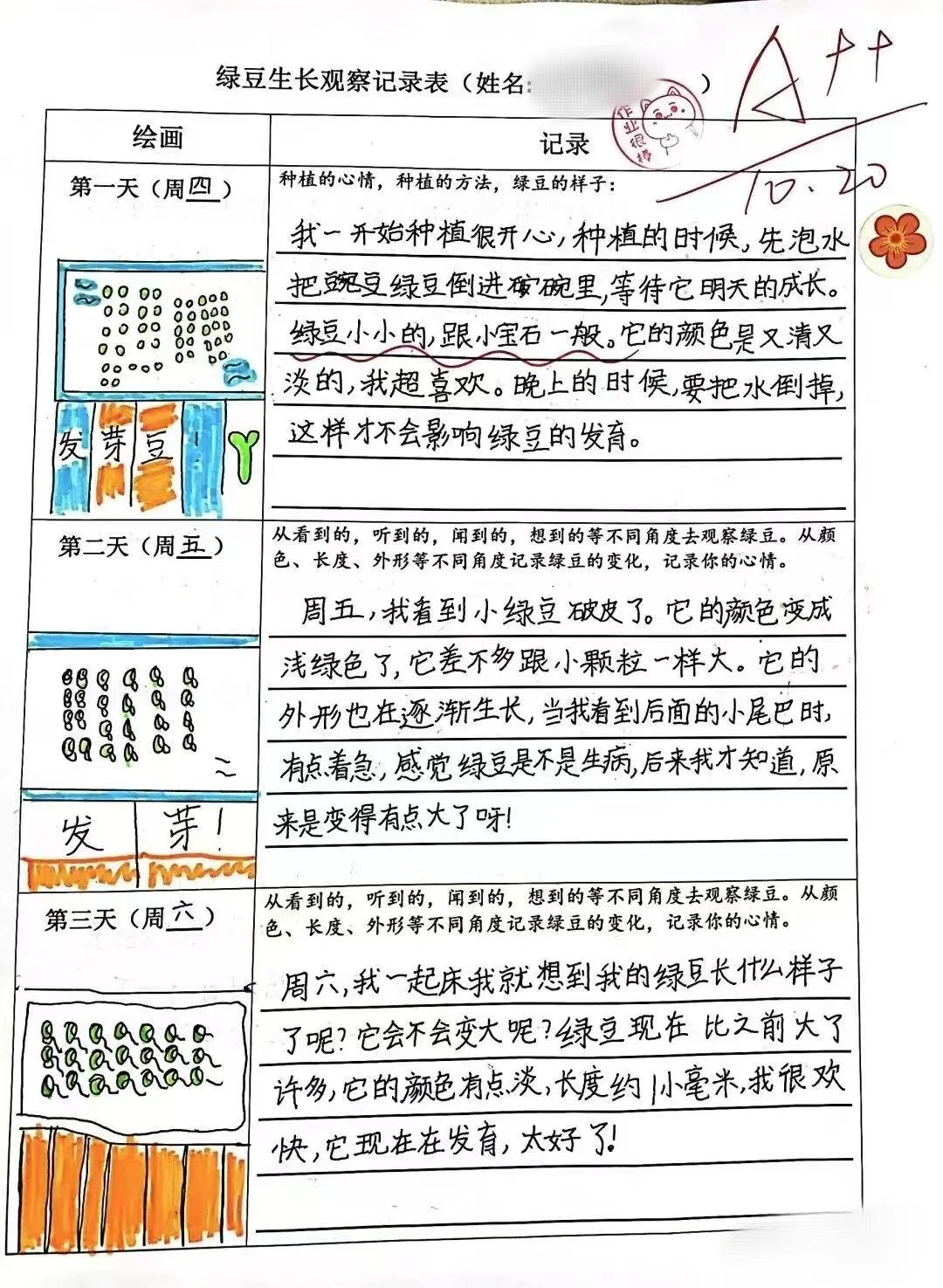 2024绿豆芽观察生长记录表