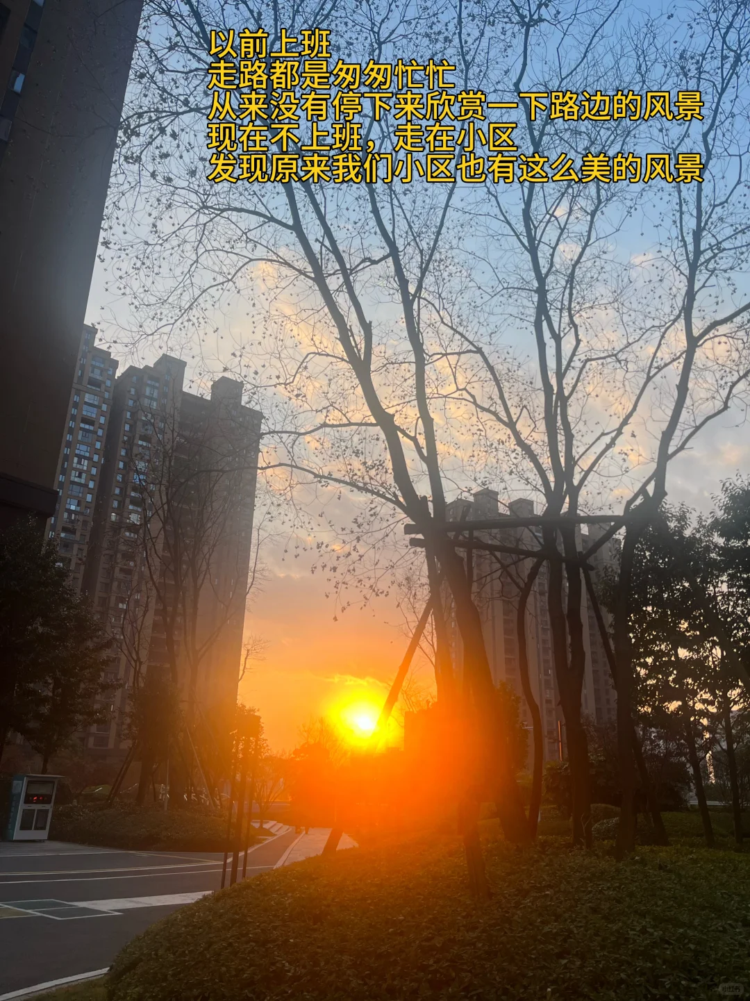 未来趋势:以后没人上班了