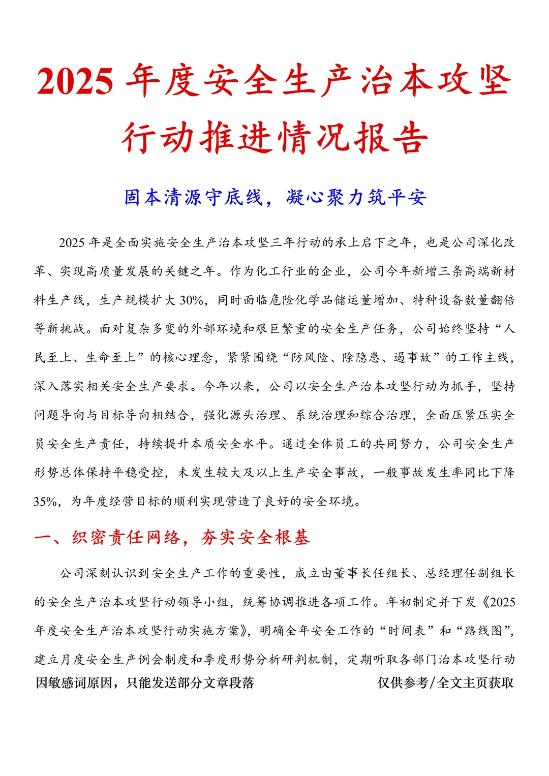 2025年度安全生产治本攻坚行动推进情况报告