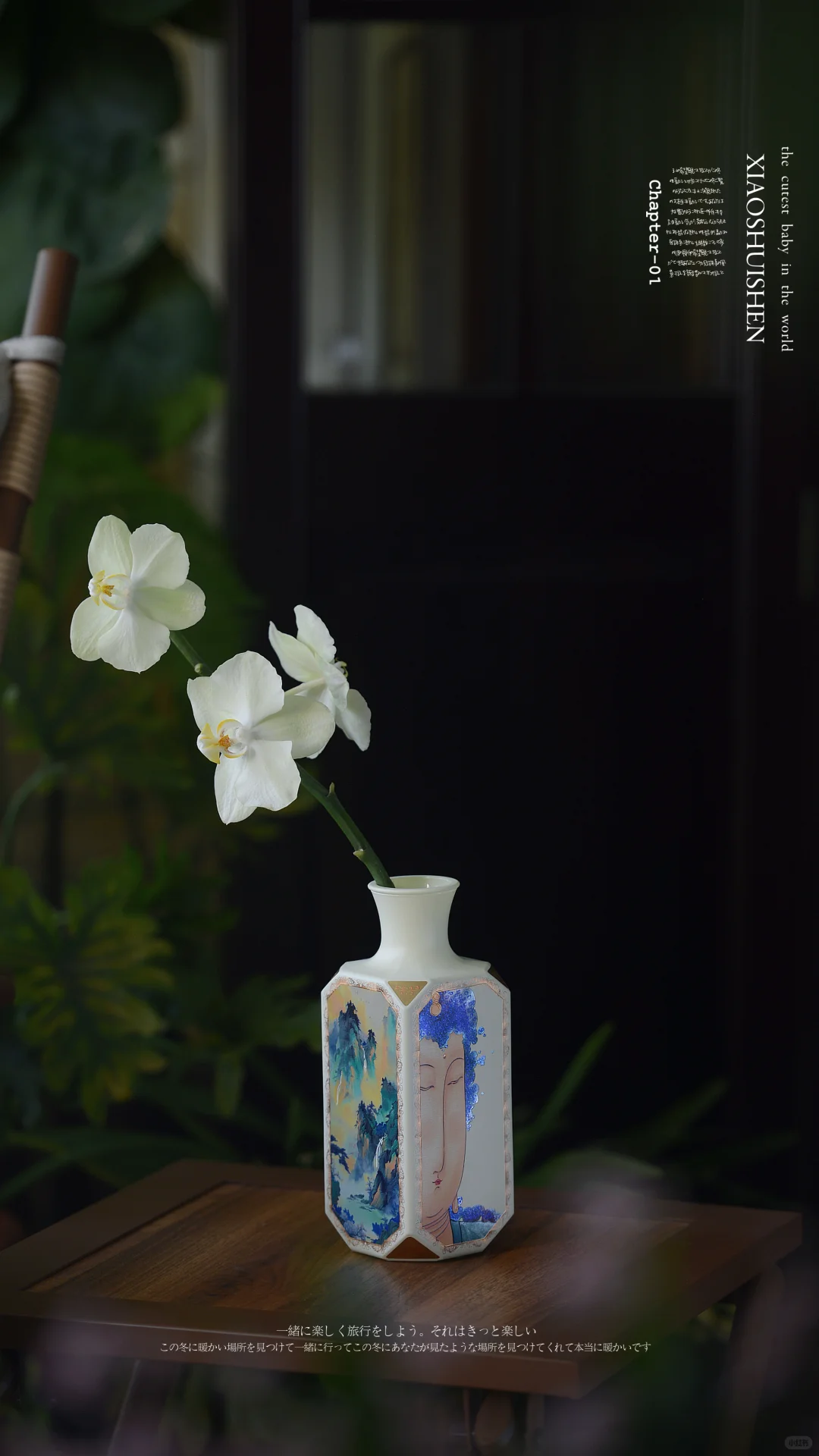 阳台造梦记~城市里的阳台绿意小确幸???