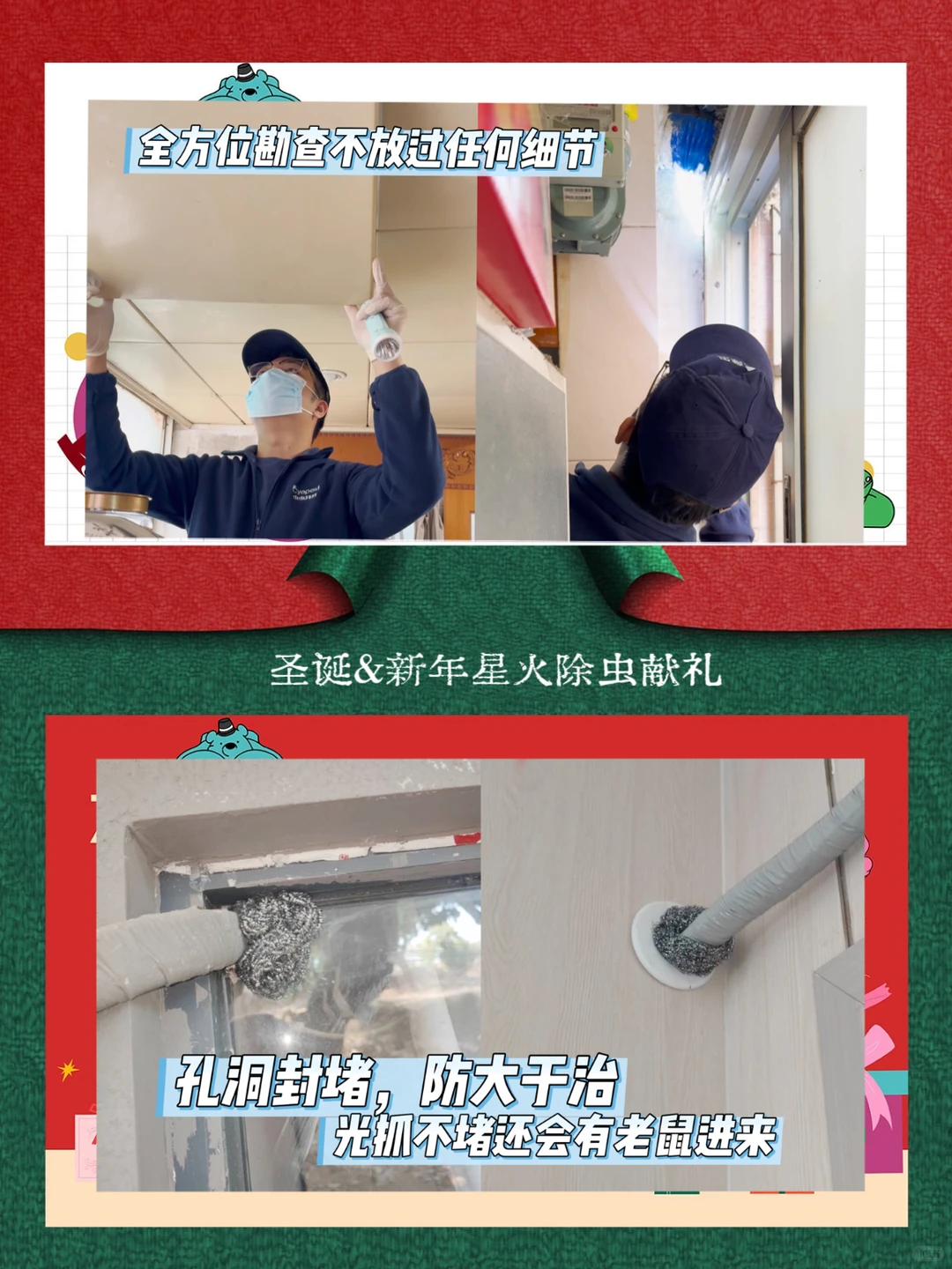 闭眼冲!双旦安心礼!专业除虫只要200+