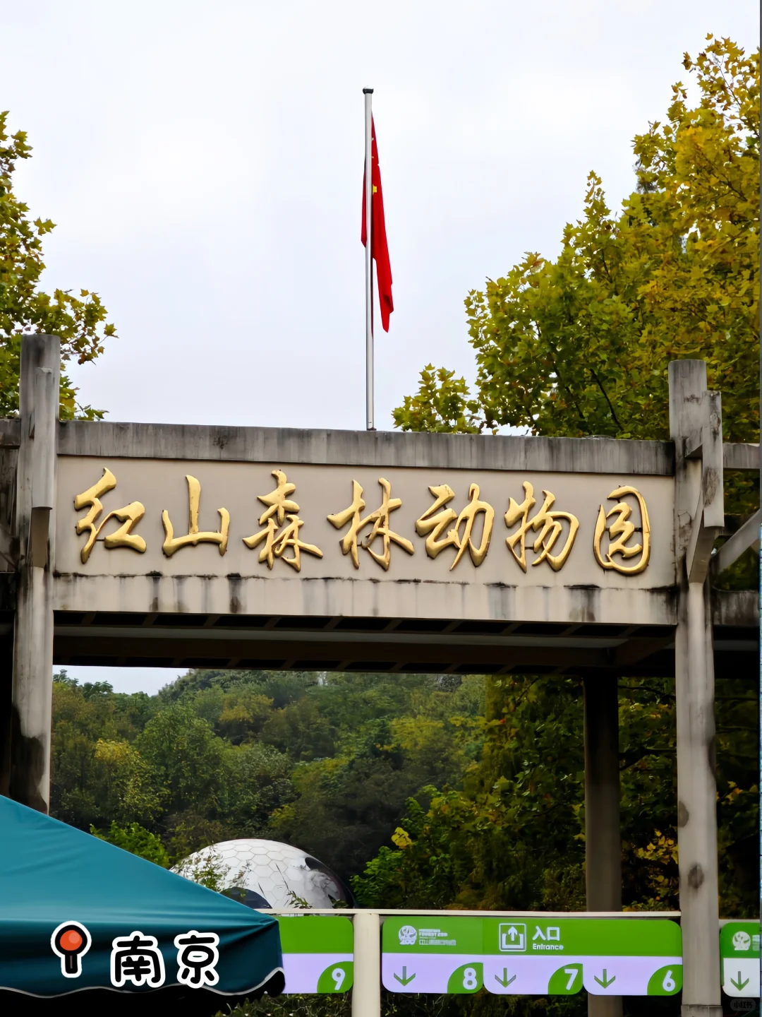 最后1个月啦 2025年的记忆都被它珍藏!