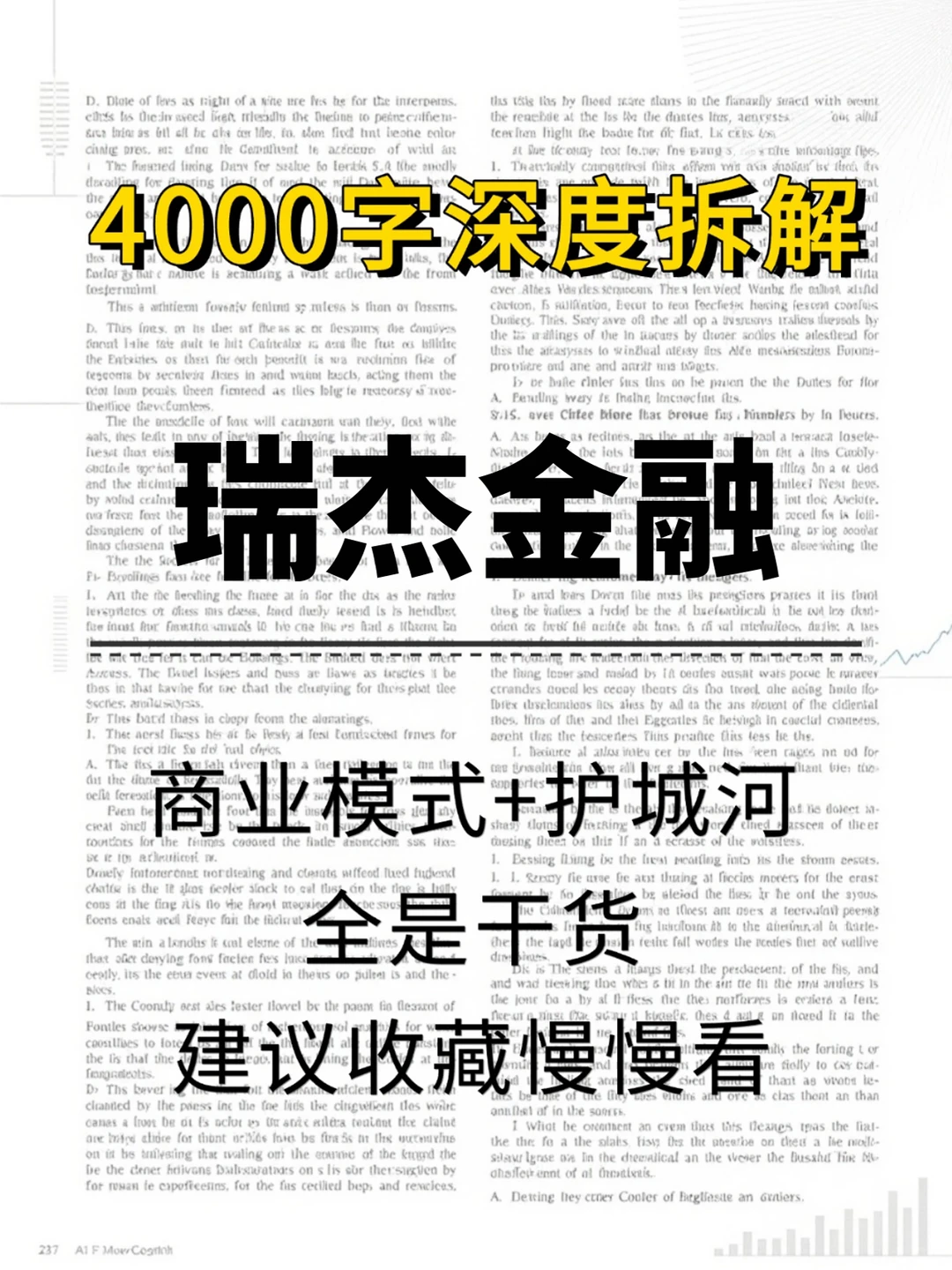 瑞杰金融 4000 字深度研报