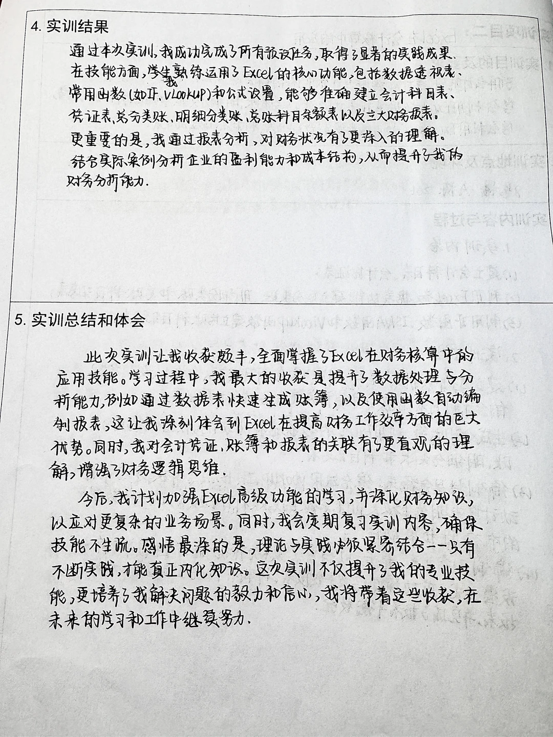 excel在财务管理中的运用（实训报告）