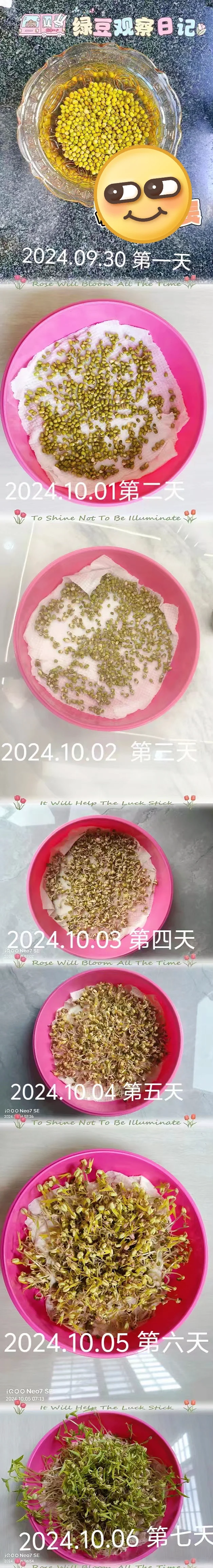 认真完成作业的同学??老师真的很爱❤️