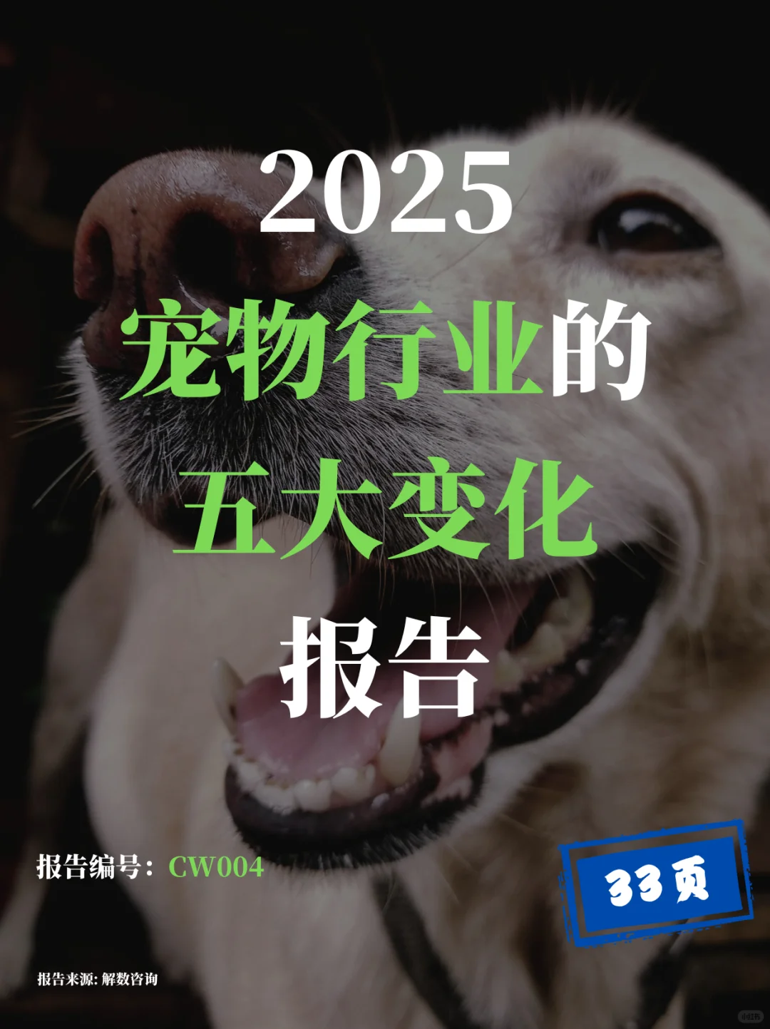 2025宠物行业的五大变化研究报告